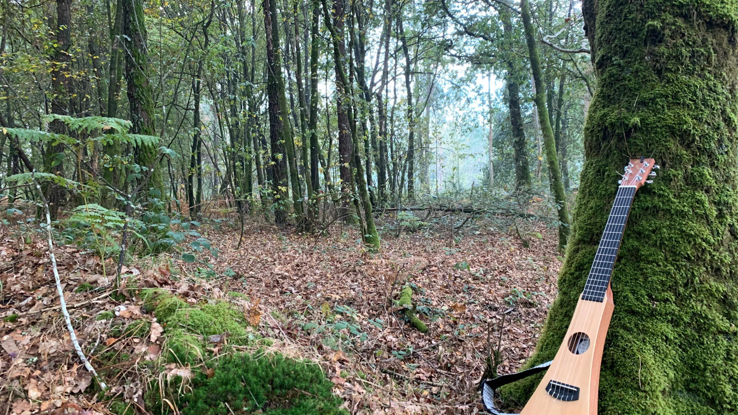 柴田ギタースクール 子安町教室のメイン画像