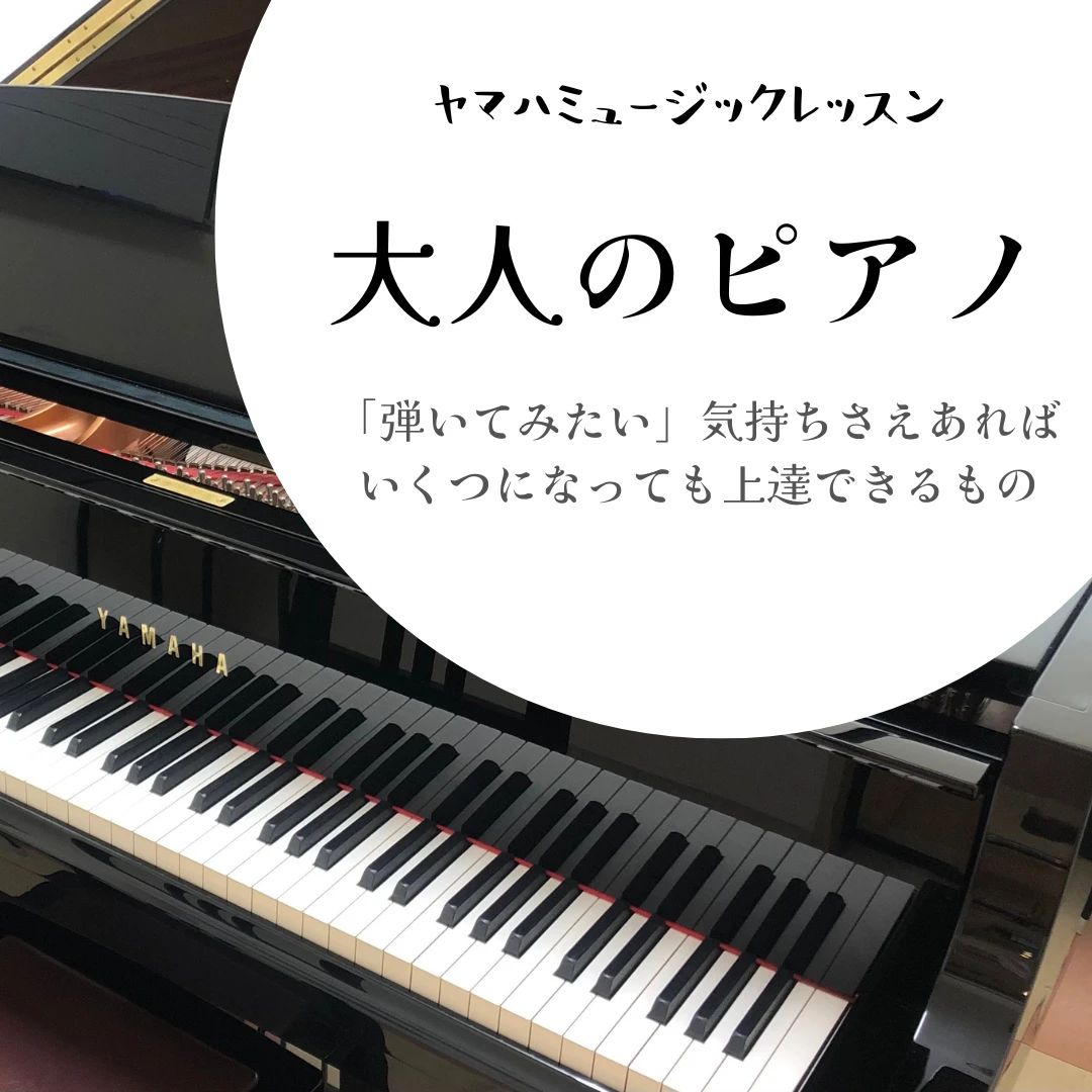 スガナミ楽器 ギター 三軒茶屋センターのサムネイル画像 4