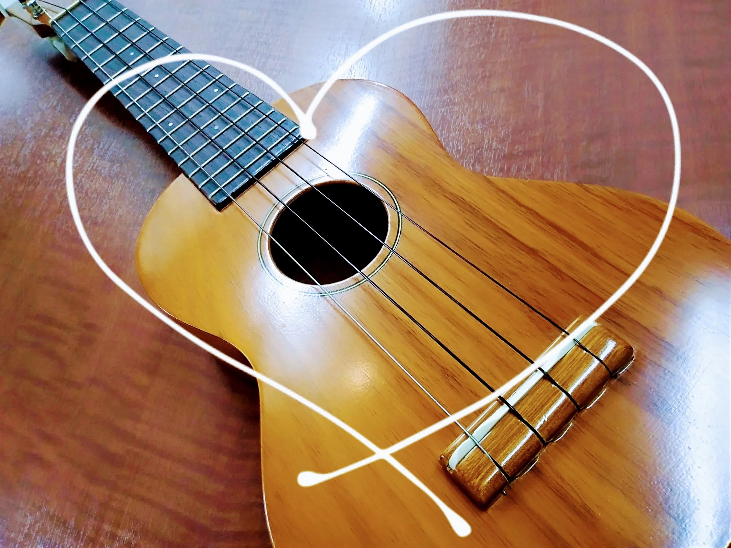 スガナミ楽器 ギター 三軒茶屋センターのメイン画像