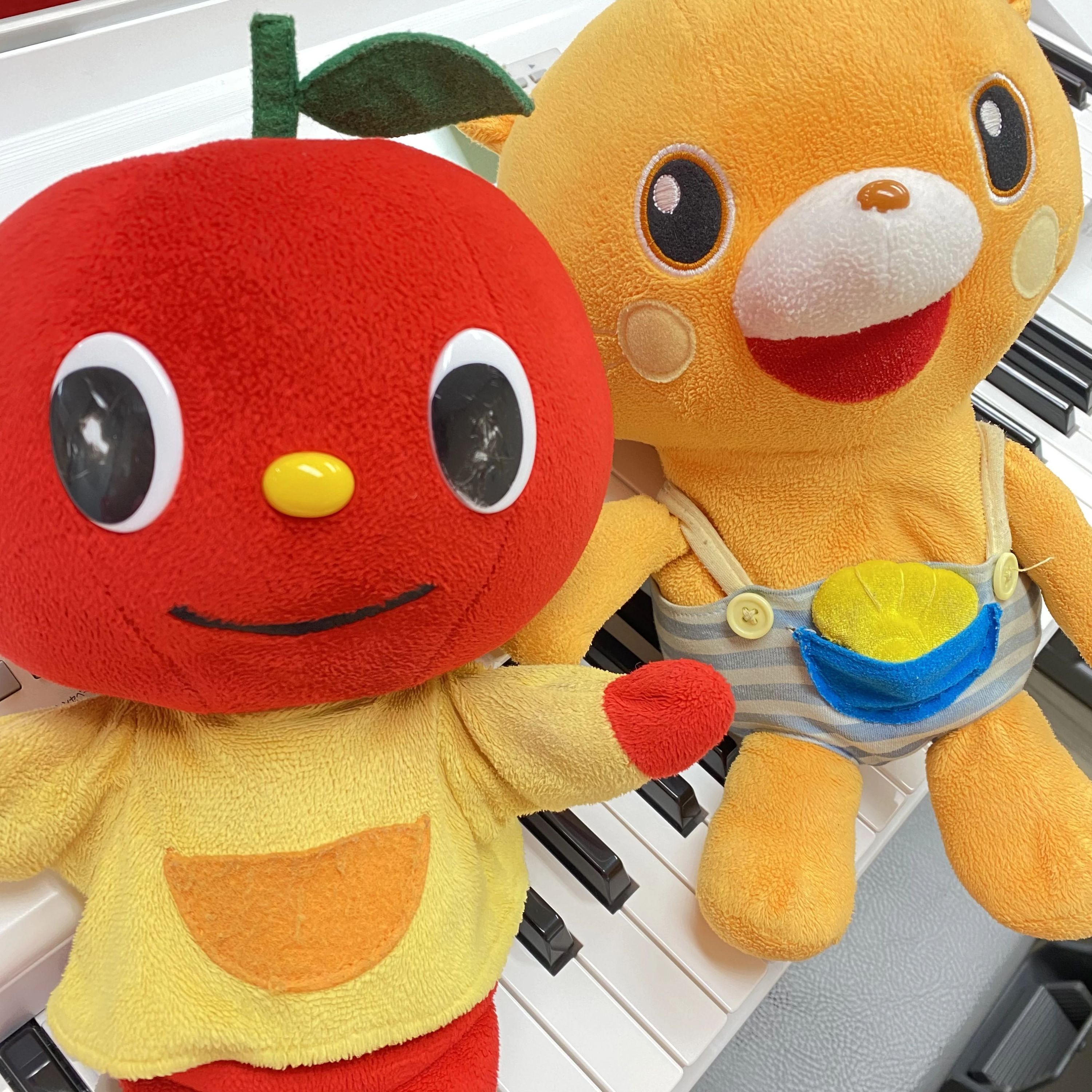 スガナミ楽器 ギター 三軒茶屋センターのサムネイル画像 5