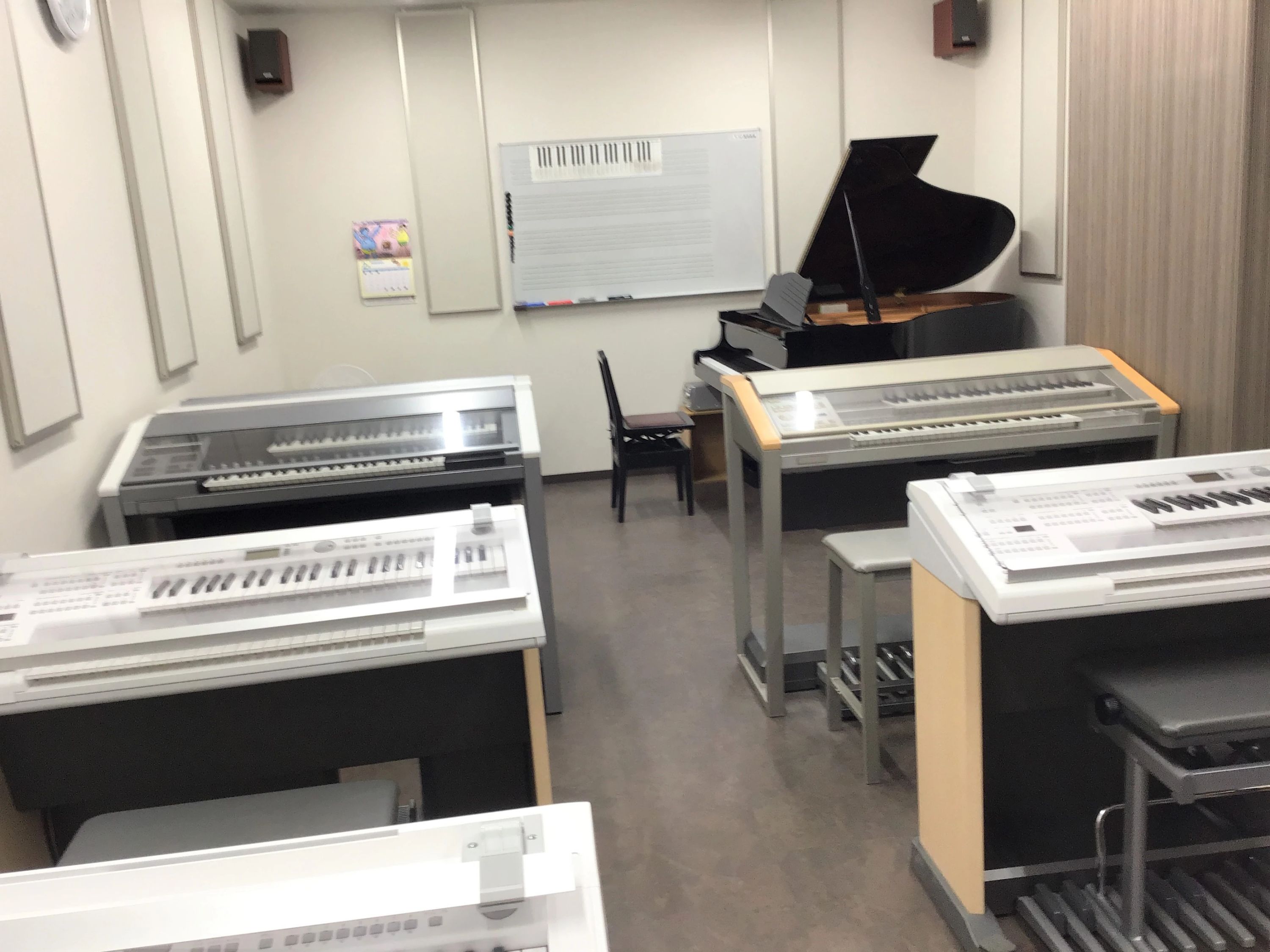 厚木楽器 ギター アミ相武台のサムネイル画像 4