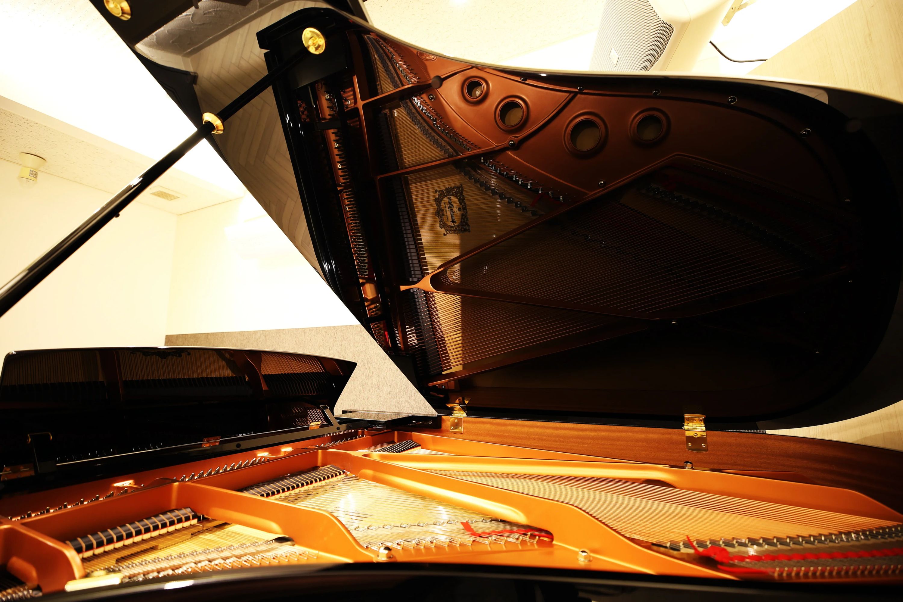 椿音楽教室 ギター クラウドナインスタジオ宮前平店のサムネイル画像 3