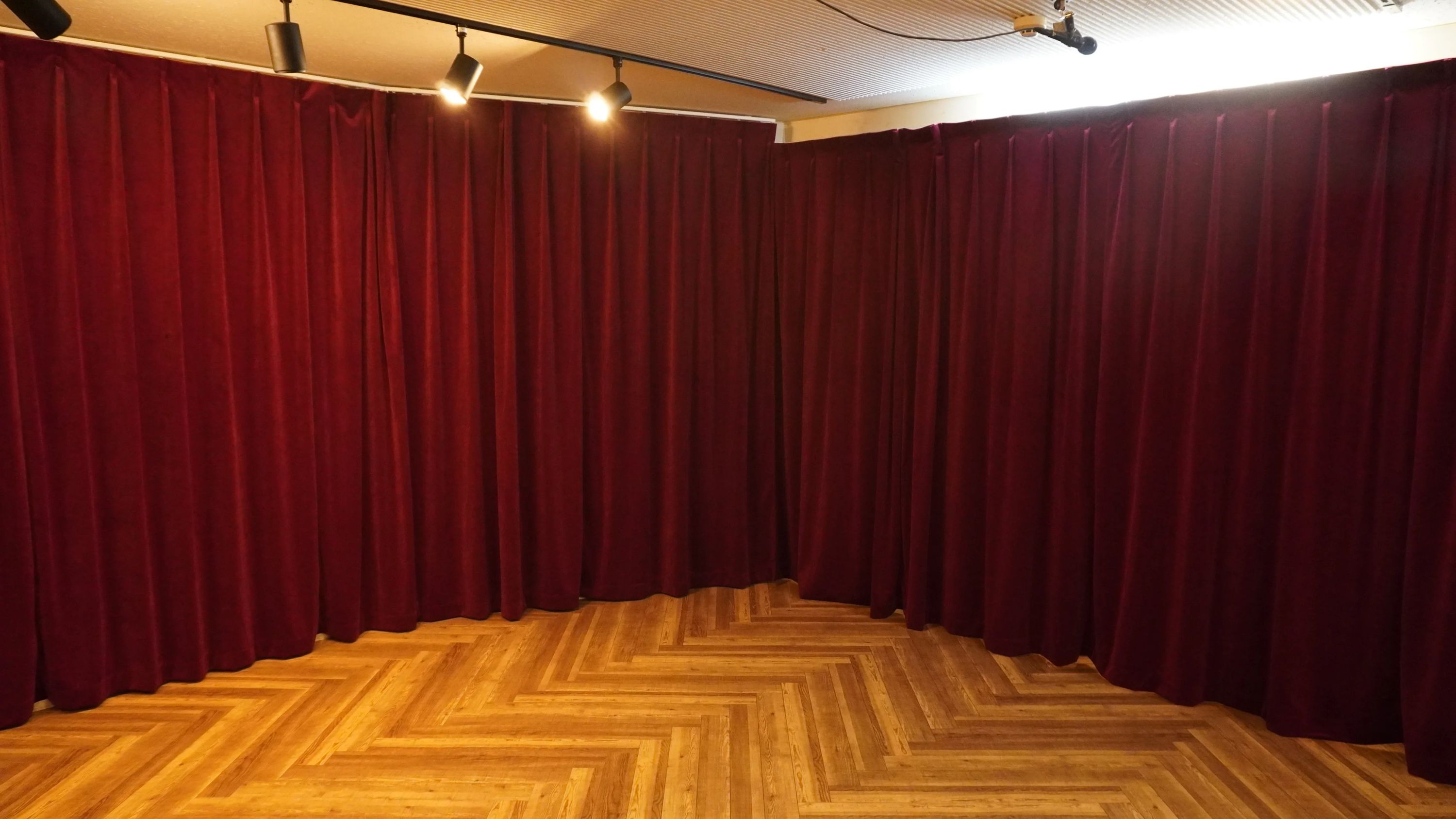 セレクトーン ギター ワイルドフラワースタジオ行徳のサムネイル画像 2