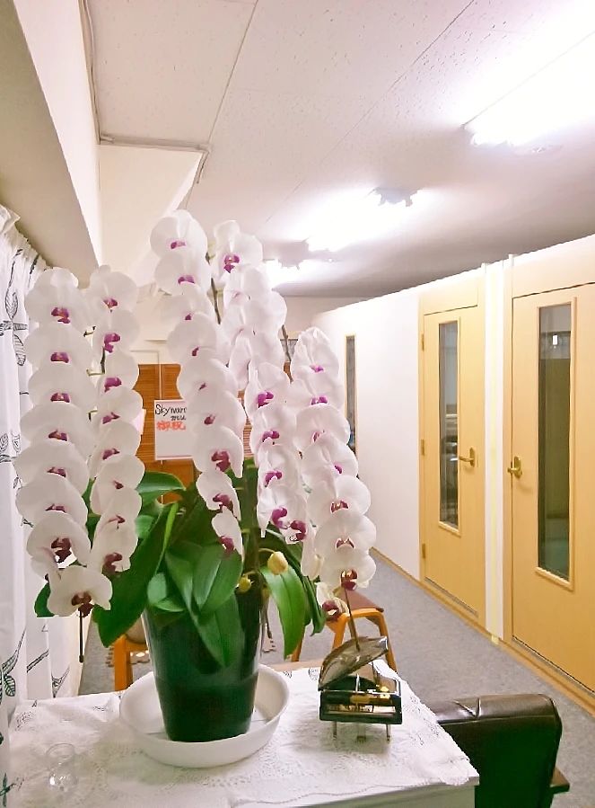 スカイワードミュージックスクール ギター 本町教室のサムネイル画像 4