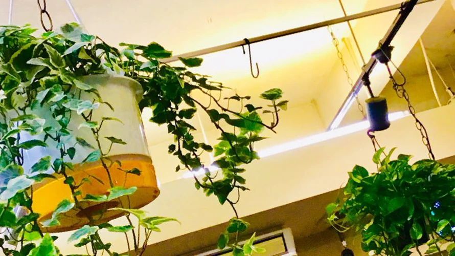 椿音楽教室 ギター リンキィディングスタジオ本八幡のサムネイル画像 3