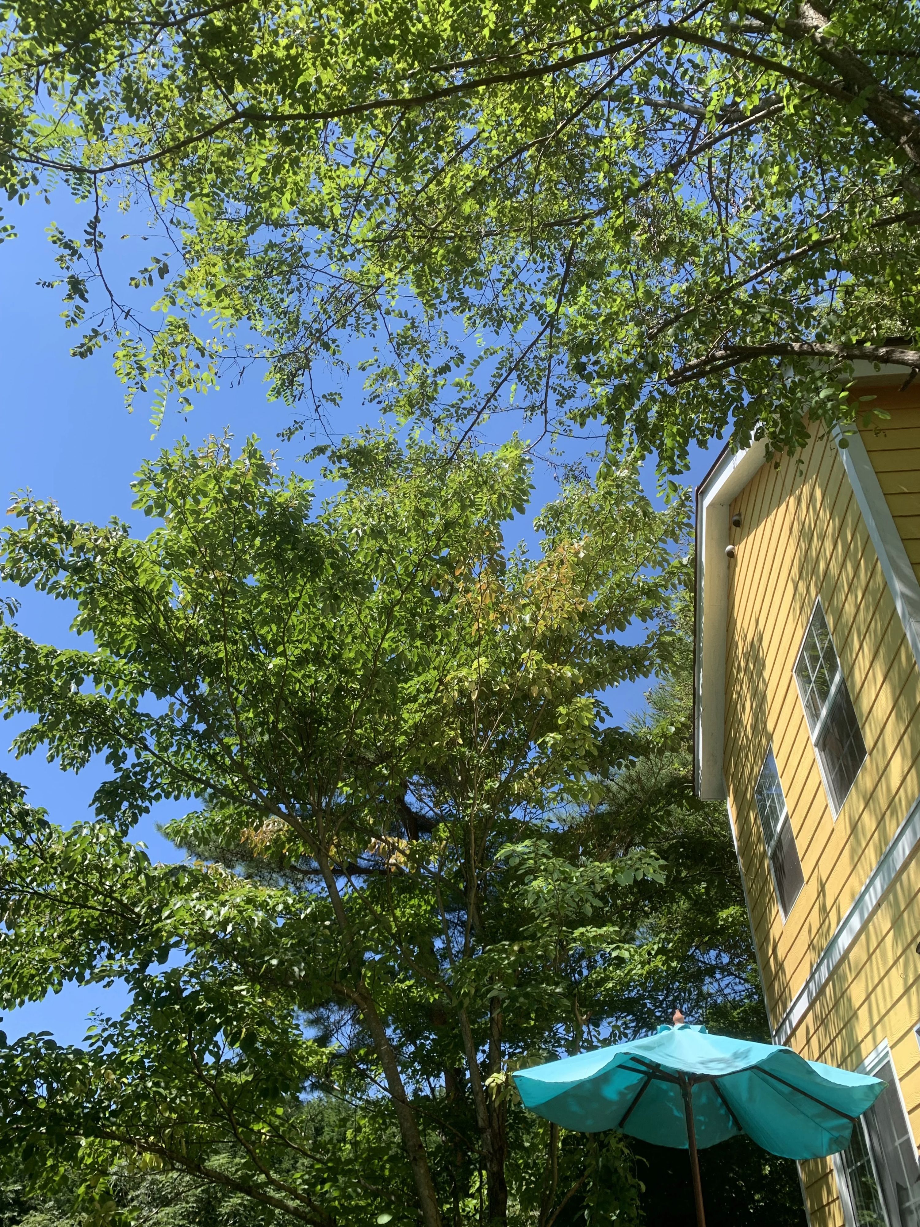 八ヶ岳ギタースクール 小淵沢町教室のサムネイル画像 3