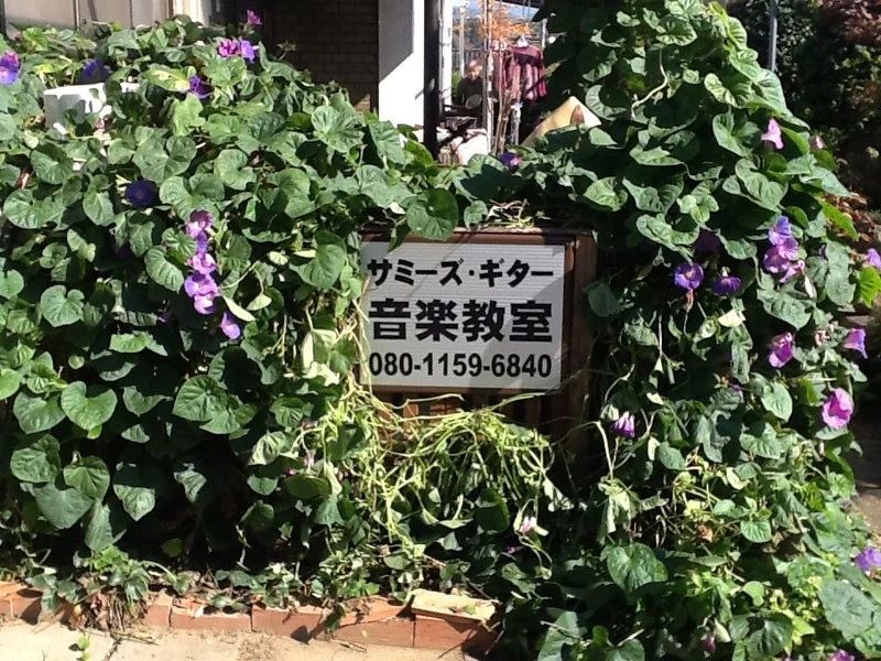 サミーズ・ギター音楽教室 富士見教室のサムネイル画像 2