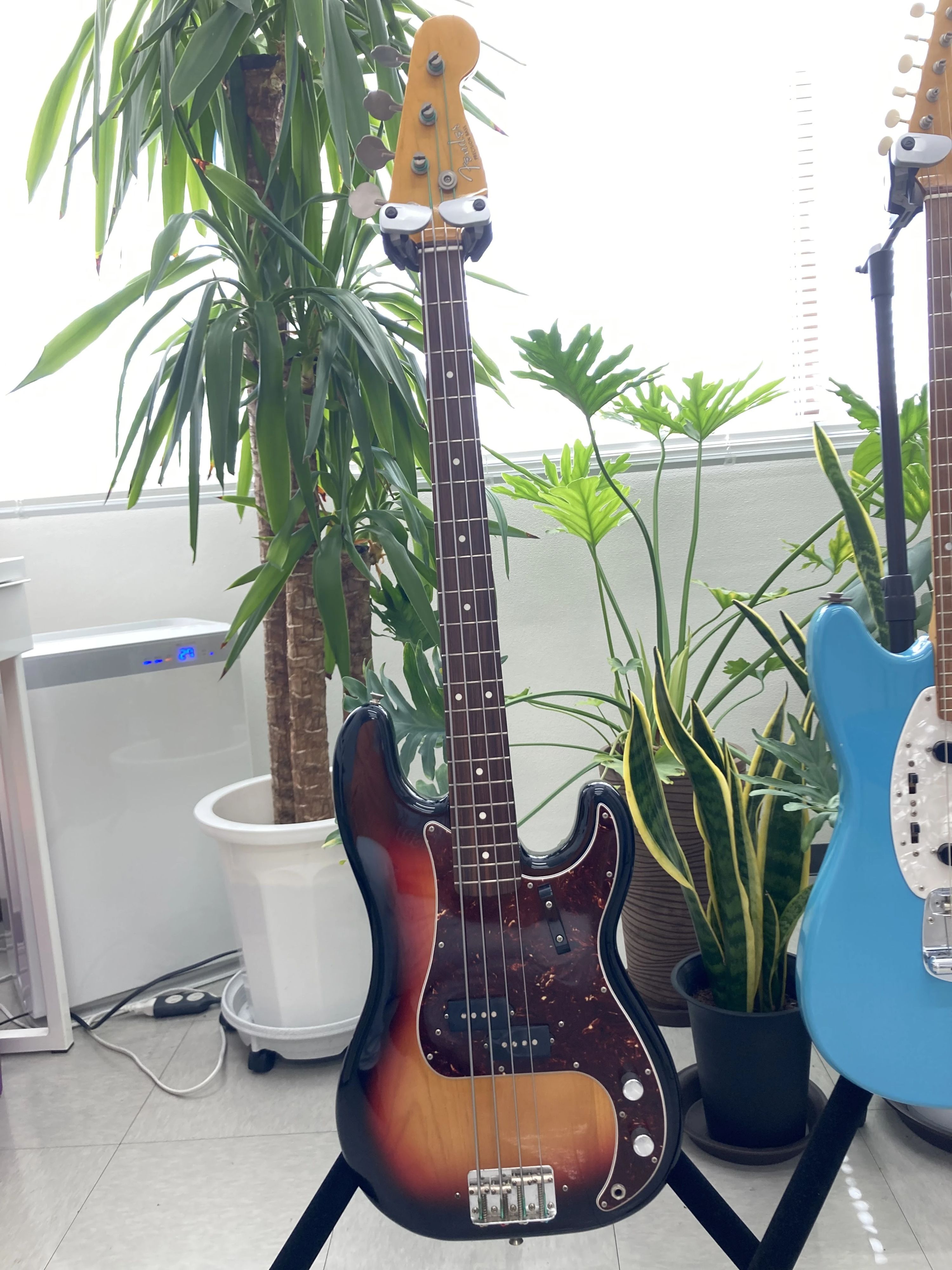 マミ・アートミュージック ギター 一社本部教室のメイン画像