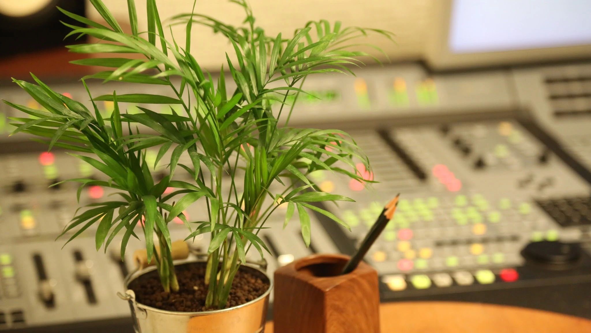 I.N.B Music School ギター 杉崎町教室のメイン画像