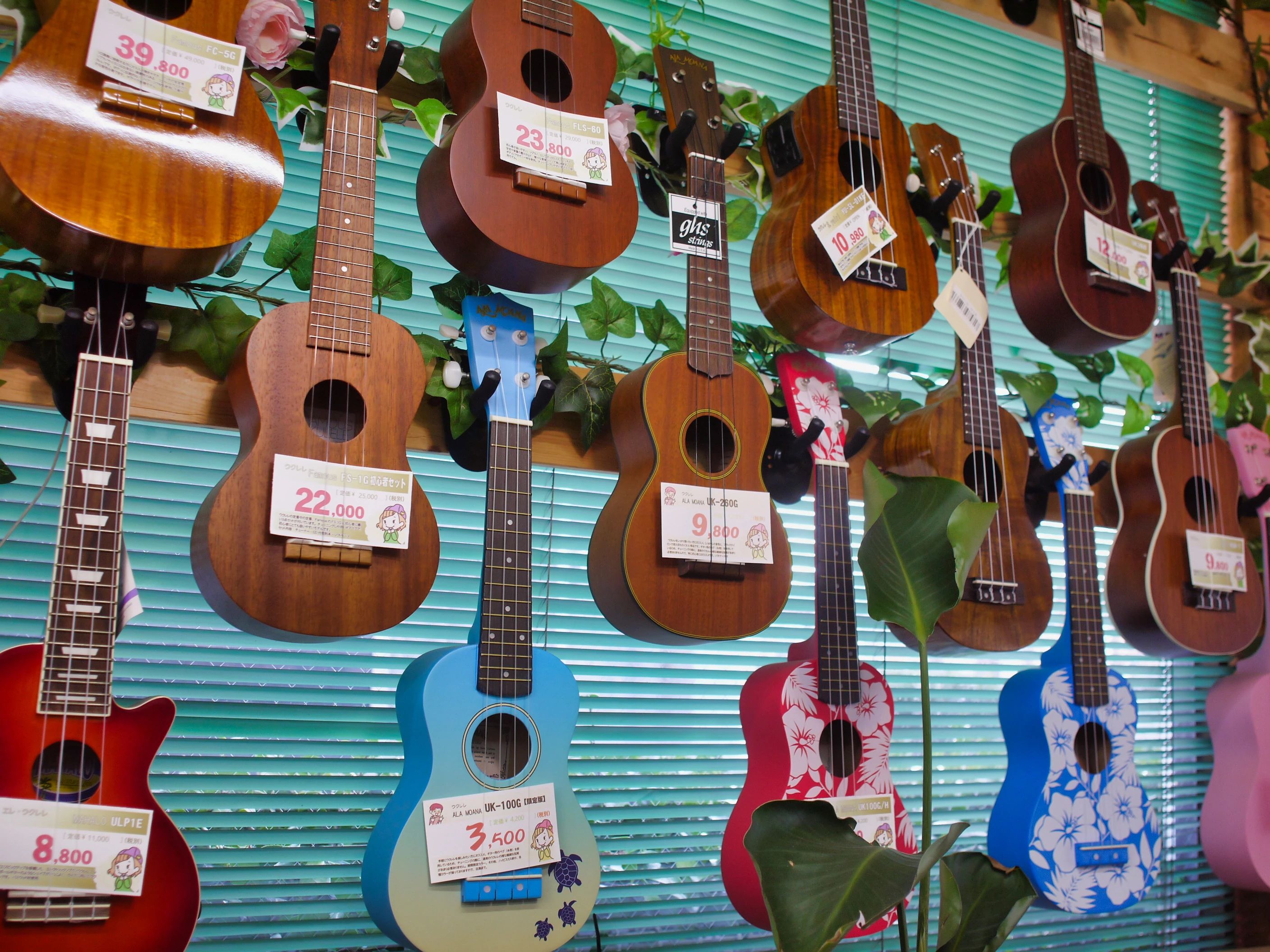 西尾楽器 ギター 掛川駅前教室のサムネイル画像 2
