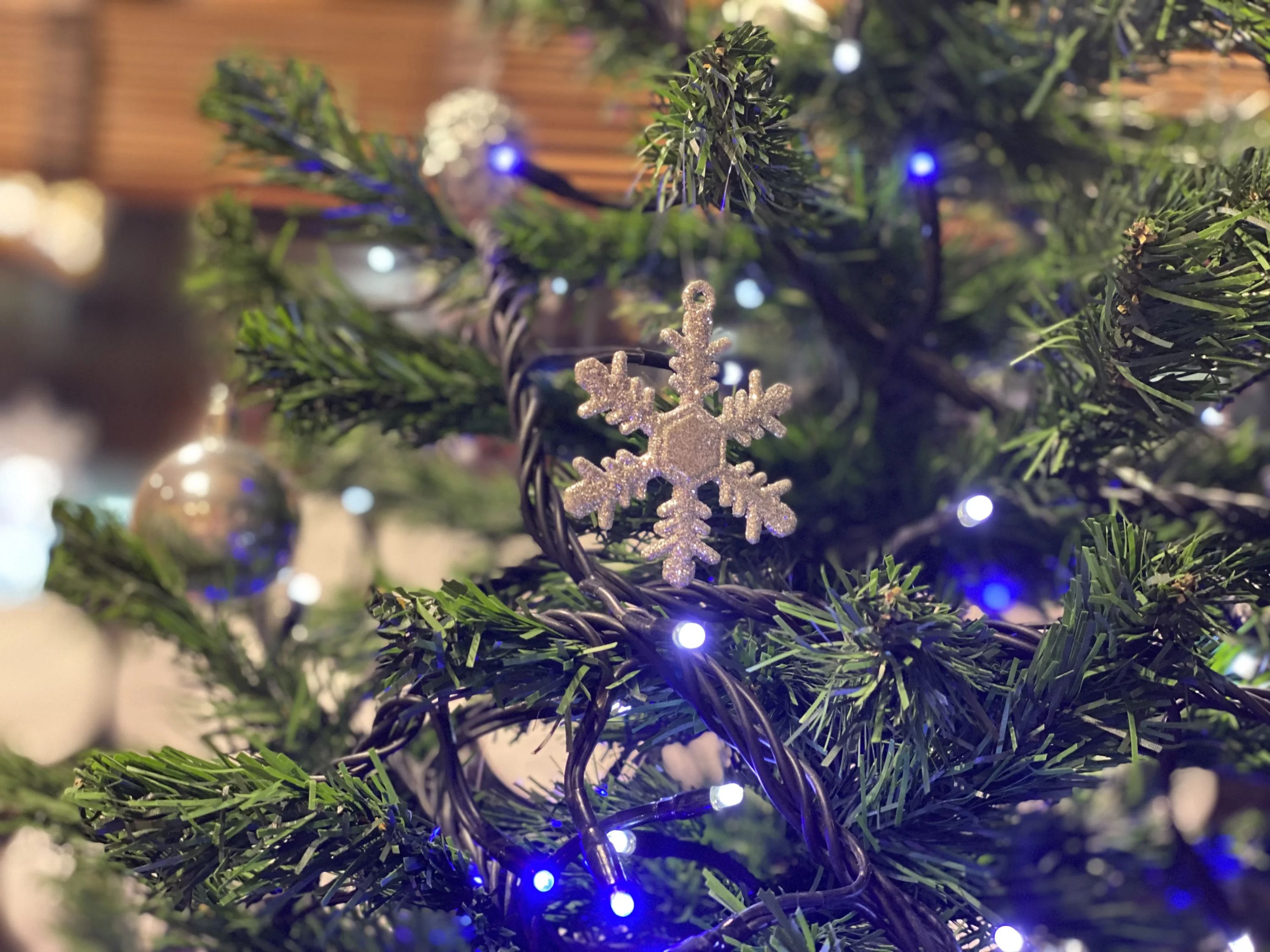 MUSIC LA FESTA ギター 鳥谷教室のサムネイル画像 4