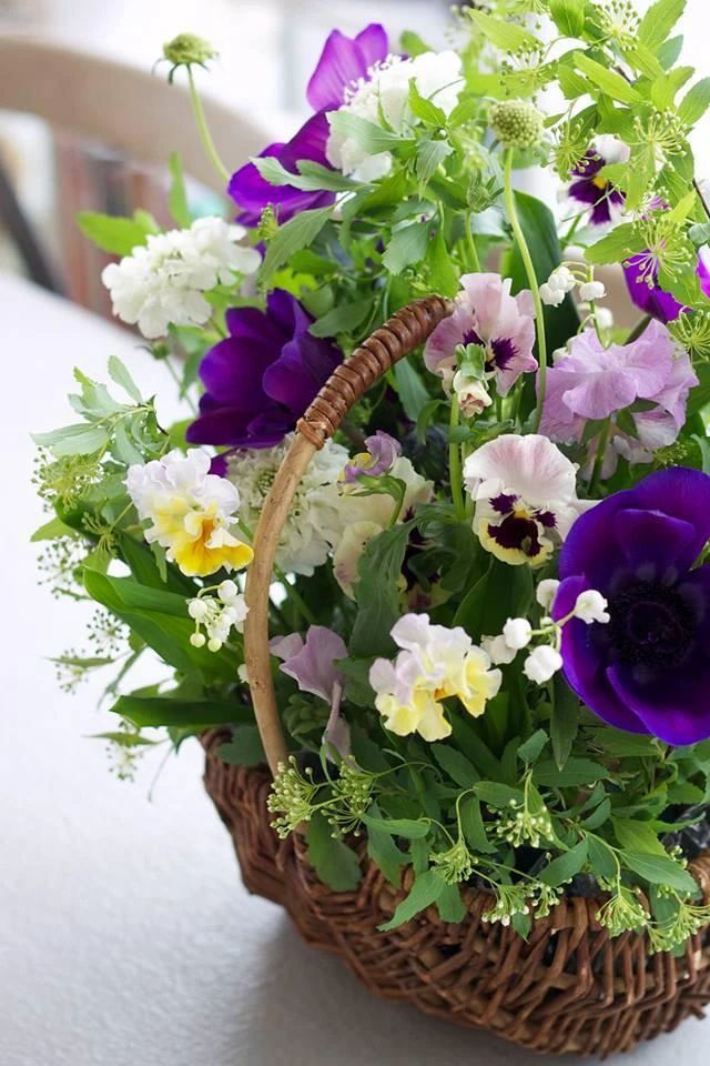 JEUGIA(ジュージヤ) ギター 桑名のサムネイル画像 3