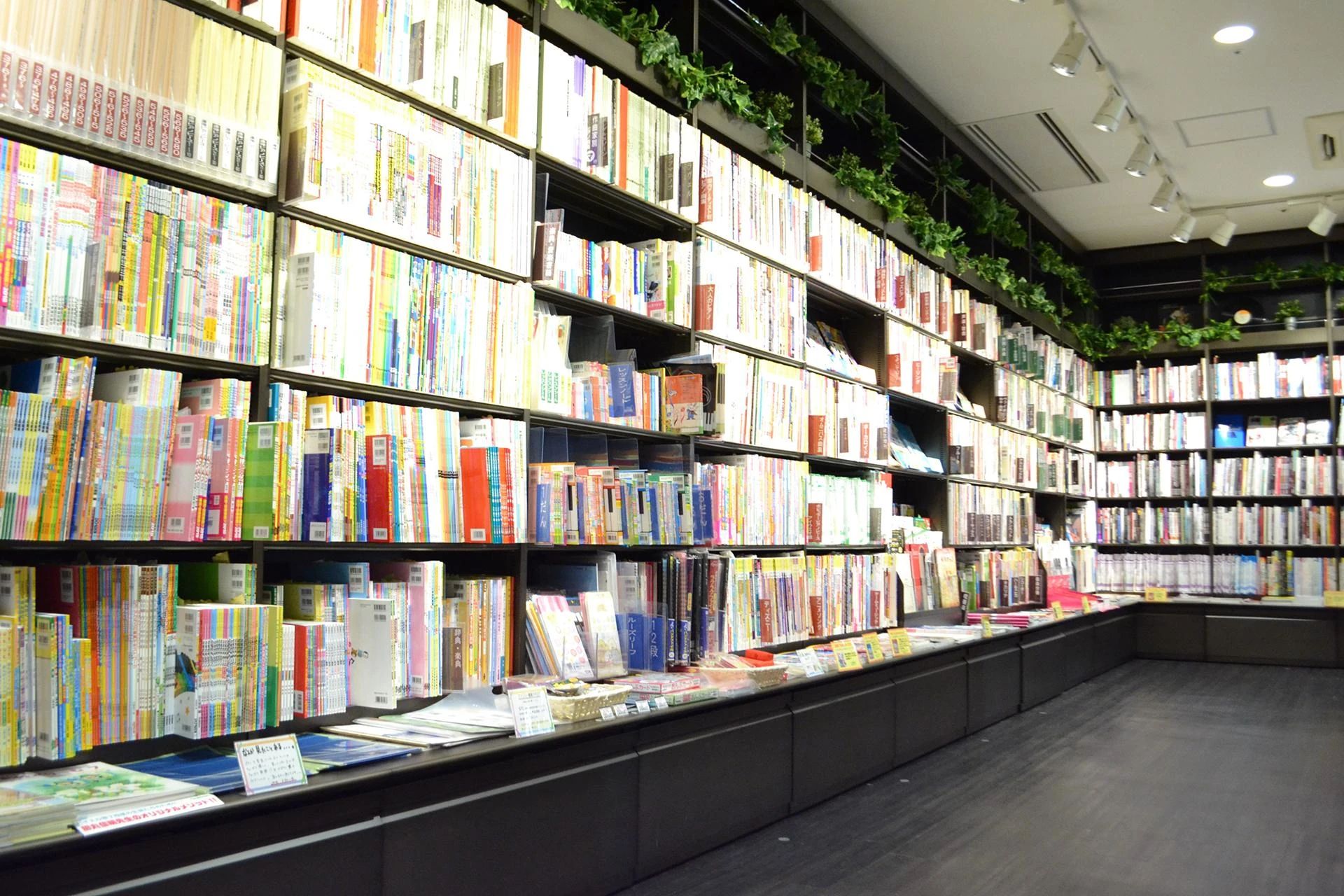 島村楽器 ギター あべのand店のサムネイル画像 5