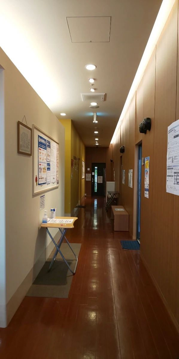 大東楽器 ギター ユニスタイル大日のサムネイル画像 3