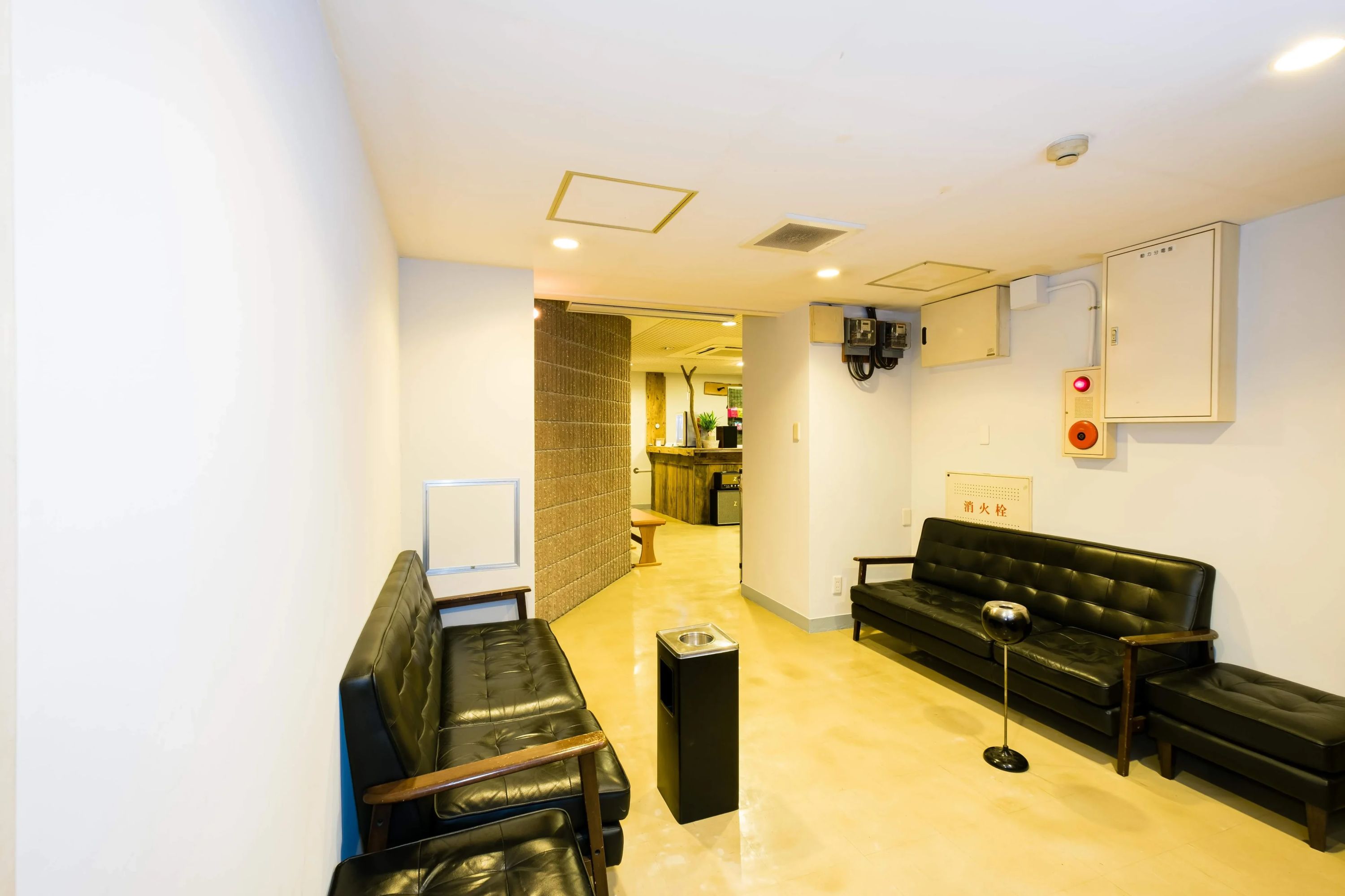 椿音楽教室 ギター Studio Hideway 日本橋店のサムネイル画像 3