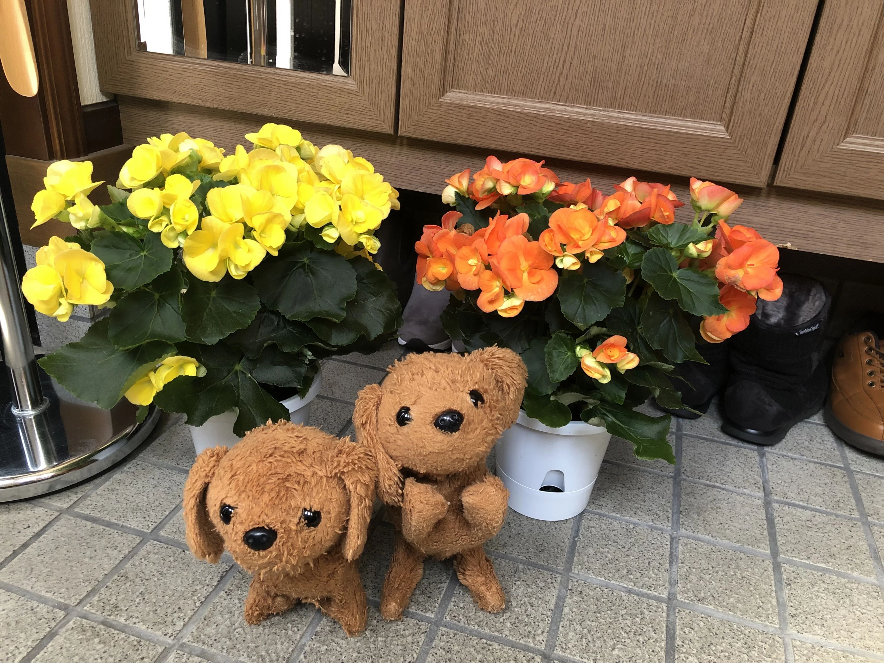 勢志音楽教室 ギター 千里園教室のサムネイル画像 4