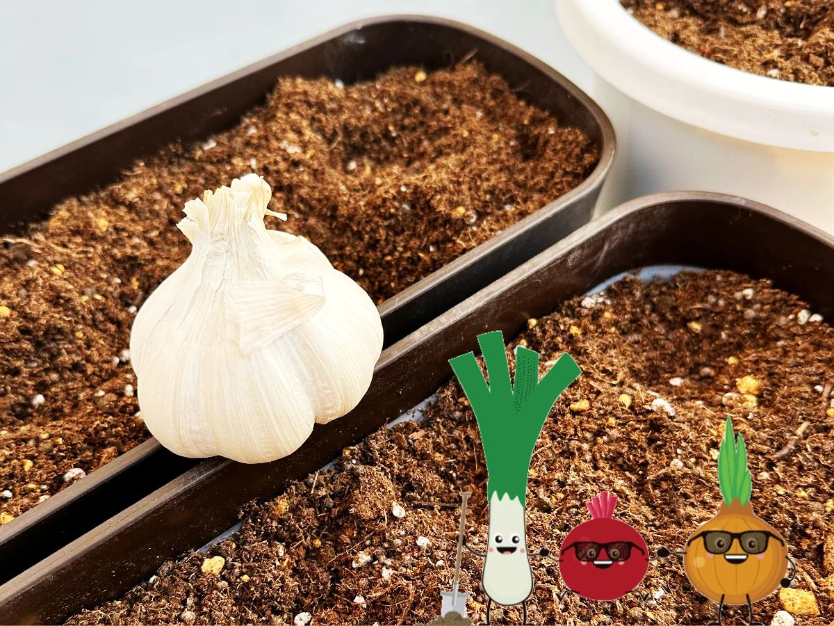 Laid Back Music School(レイドバックミュージックスクール) ギター 四ツ橋校のサムネイル画像 3