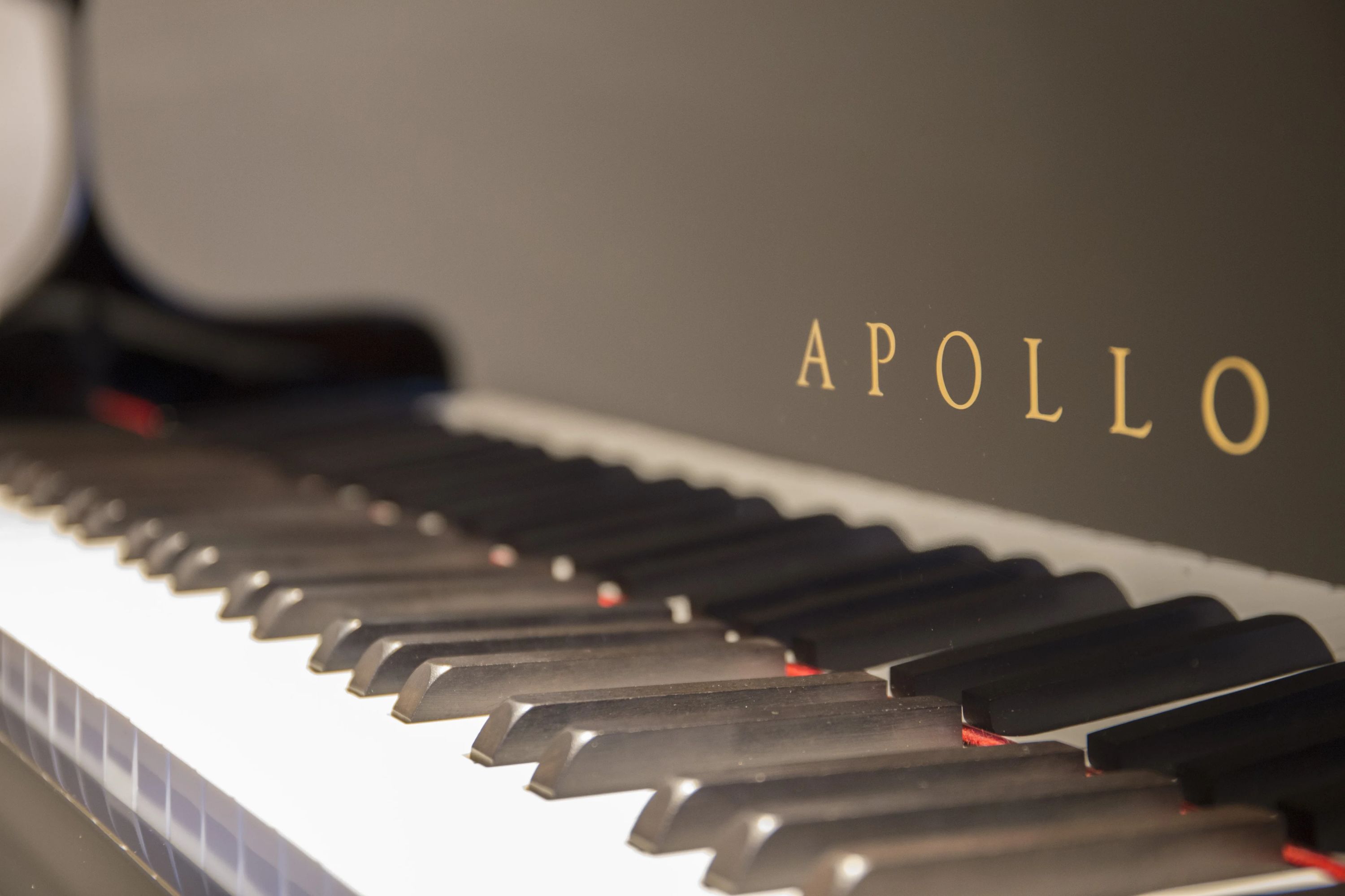 椿音楽教室 ギター ピアノ＆リハーサルスタジオ9th(ナインス)のサムネイル画像 5