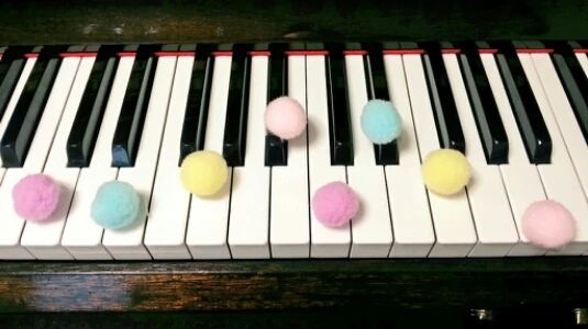 あらかわ音楽教室 ヴァイオリン 原山スタジオのサムネイル画像 5