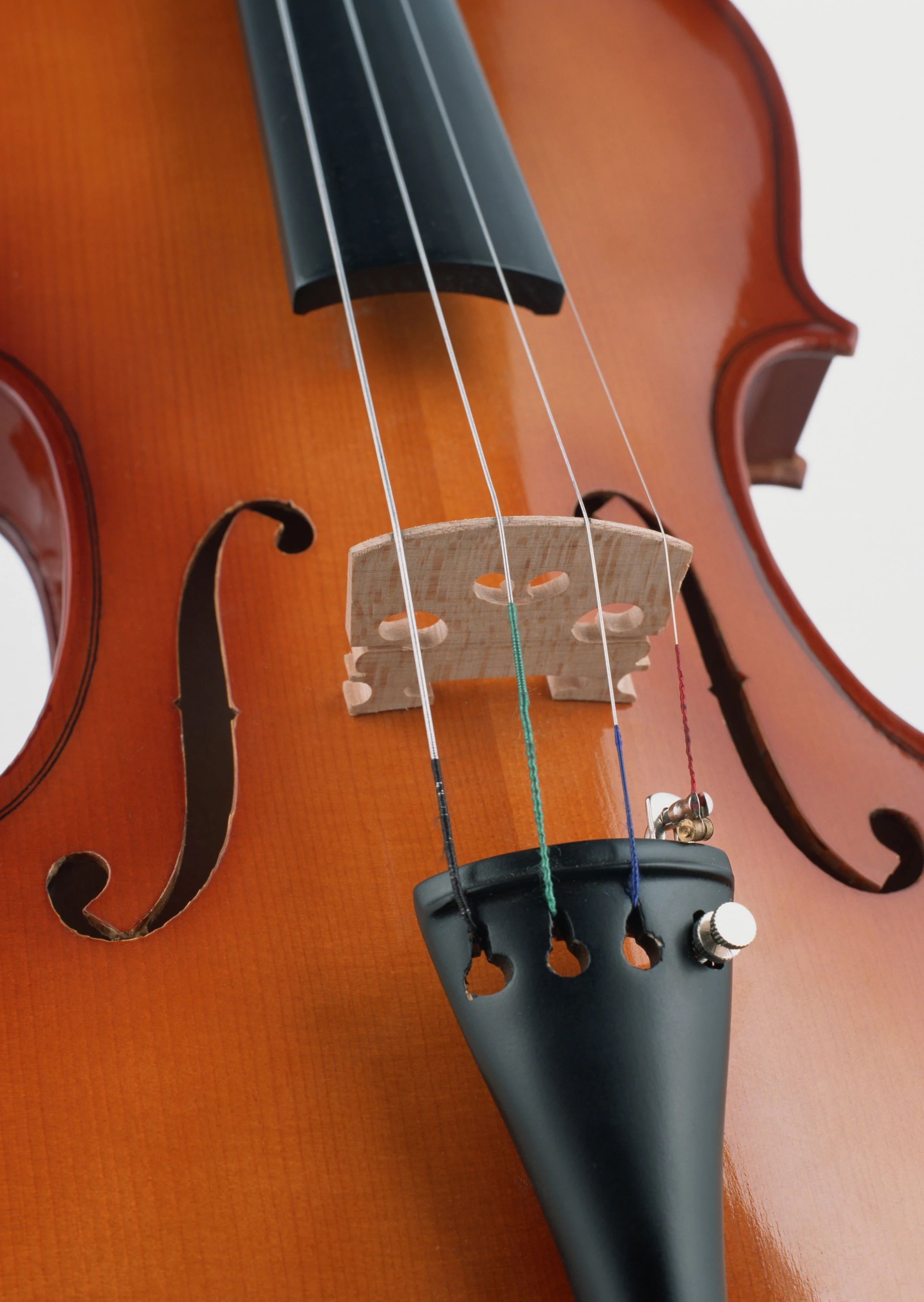 小宅楽器音楽教室 ヴァイオリン 武里本部のサムネイル画像 5