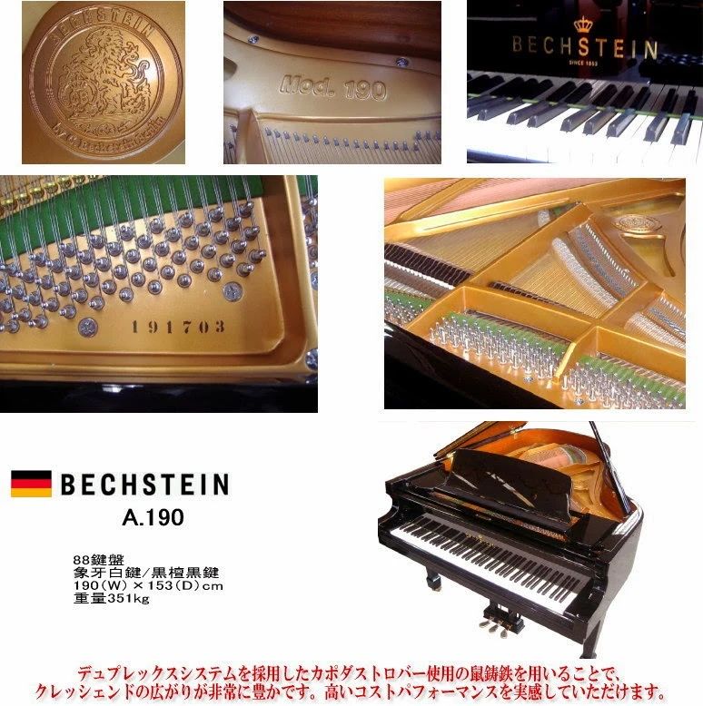 山手音楽院 ヴァイオリン 吉羽教室のサムネイル画像 3