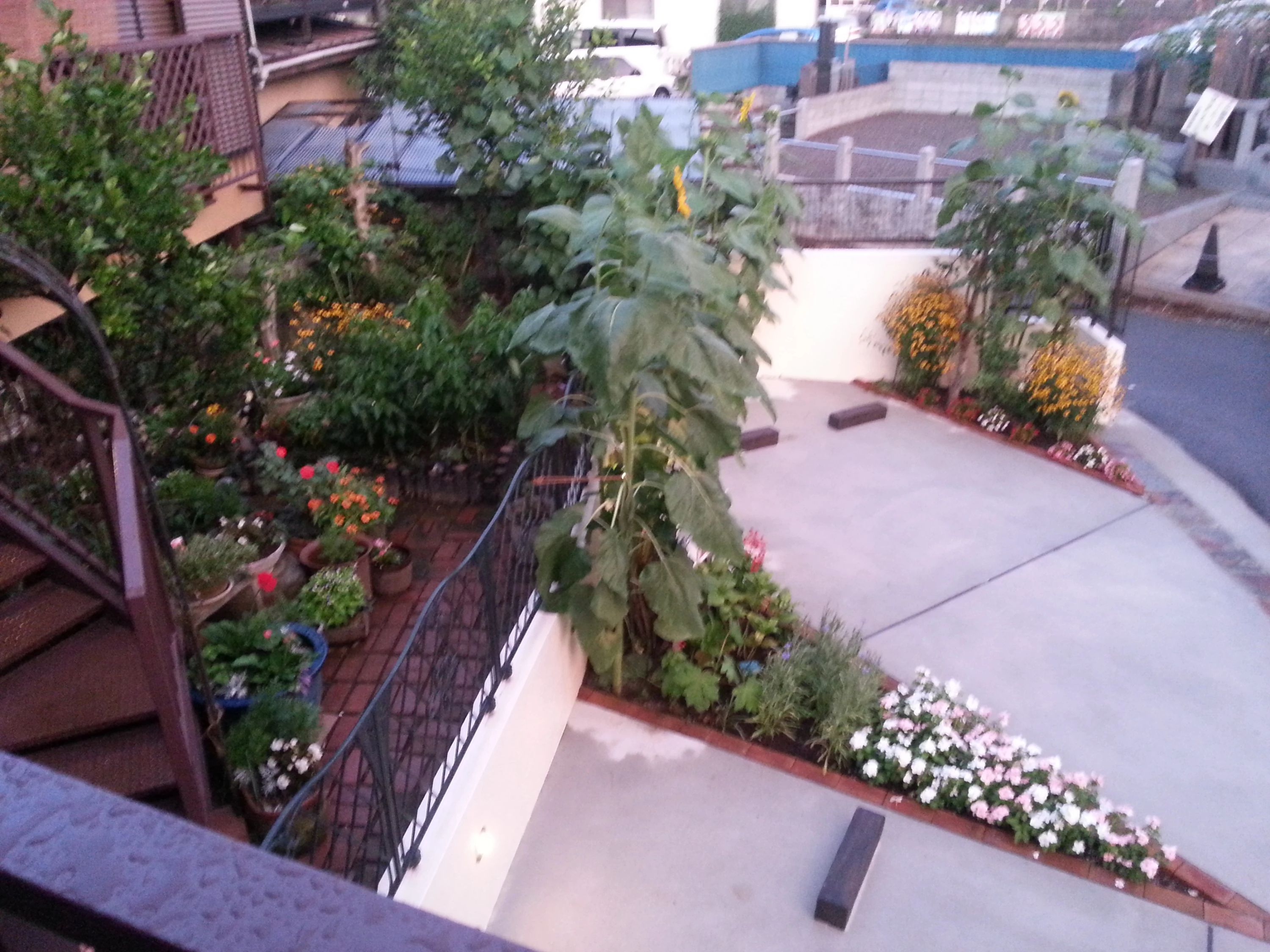 あらかわ音楽教室 ヴァイオリン 七里スタジオのサムネイル画像 3