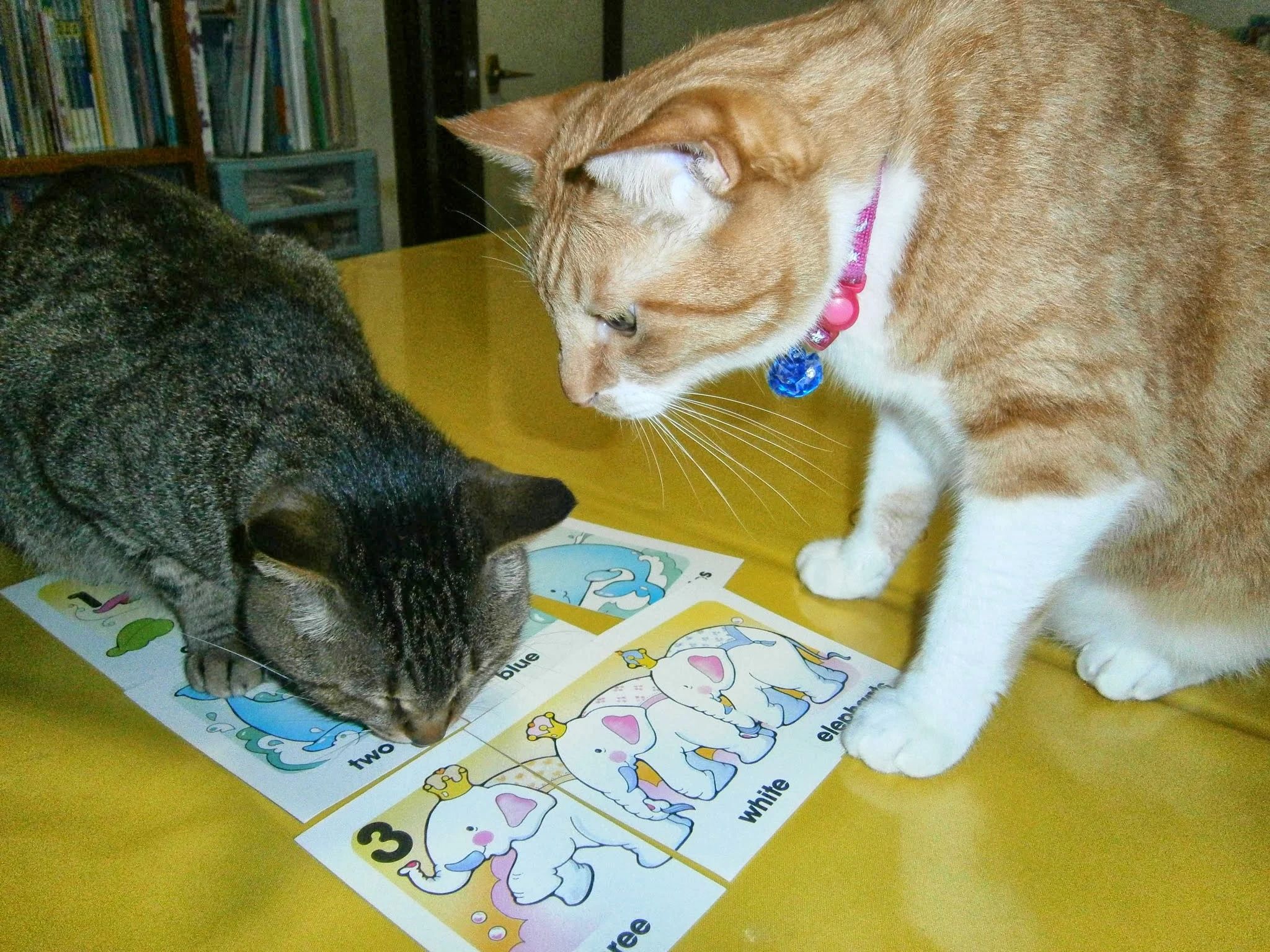 西堀音楽外語学院 ヴァイオリン 西堀教室のサムネイル画像 2