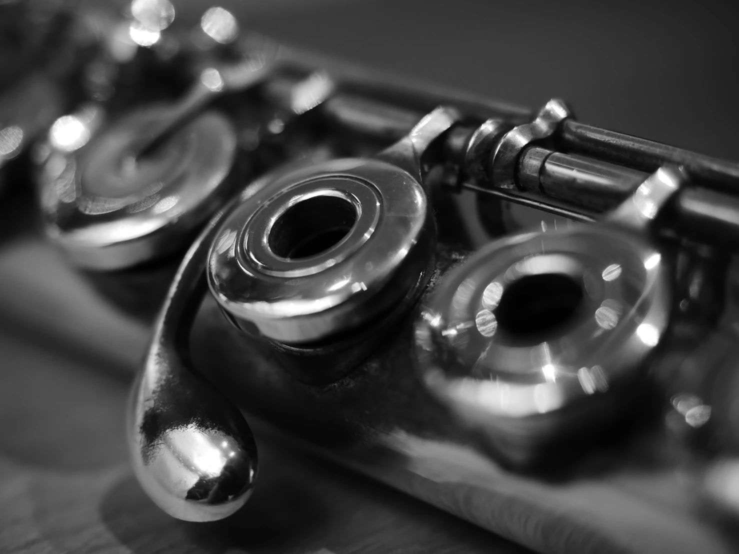 カノン音楽教室 ヴァイオリン 本八幡校のサムネイル画像 5