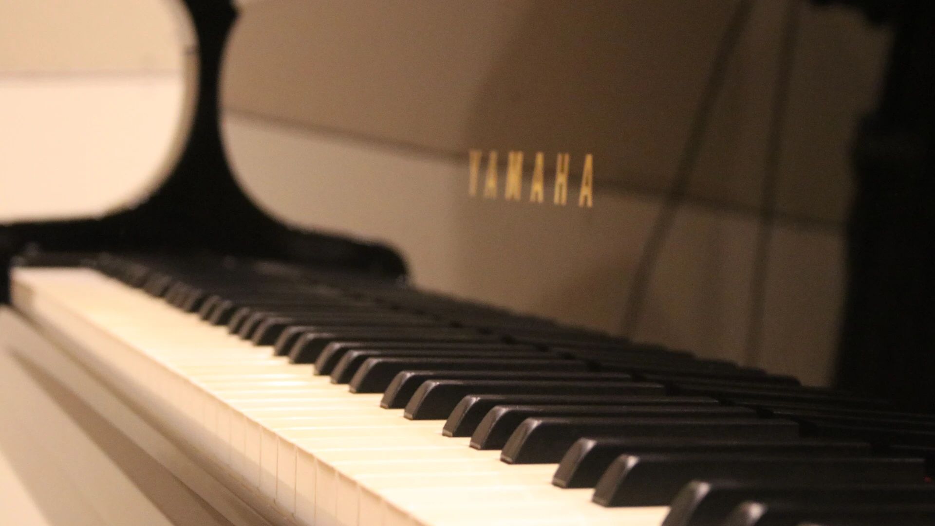 オトワ楽器 ヴァイオリン ハミングパーク松原のサムネイル画像 2