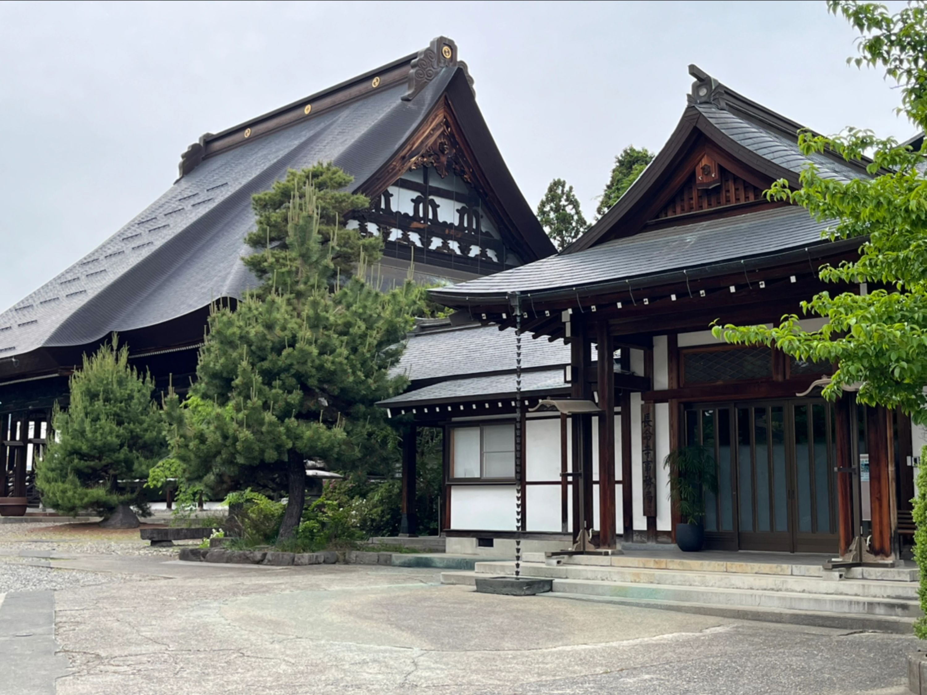 スズキ・メソード音楽教室 ヴァイオリン 長野南堀教室のサムネイル画像 2